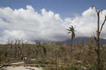 Foto: Marie Arago